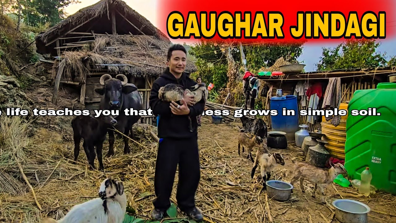 Vai sanga gau ghar ma ramailo gardai💓😊