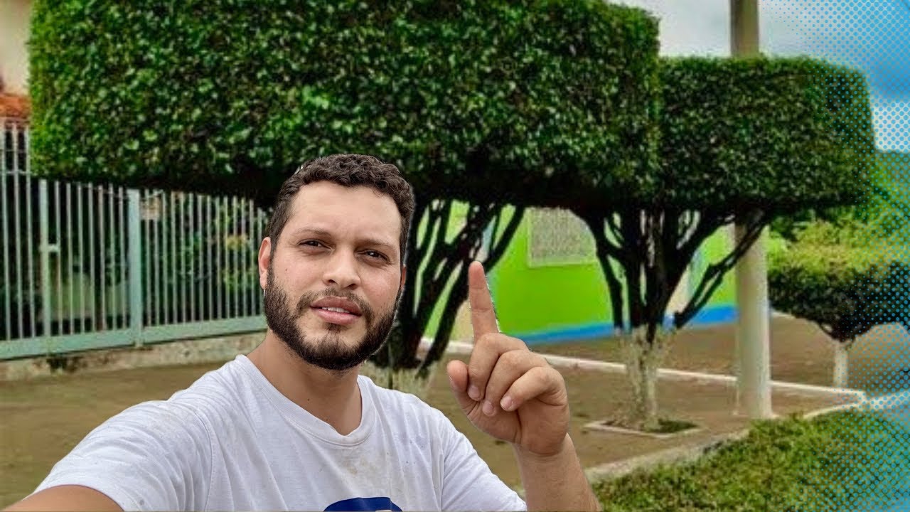 DEPOIS QUE APRENDI ESSA TÉCNICA DE PODAR ÁRVORES, SÓ FAÇO ASSIM- DA PRA GANHAR UMA GRANA BOA