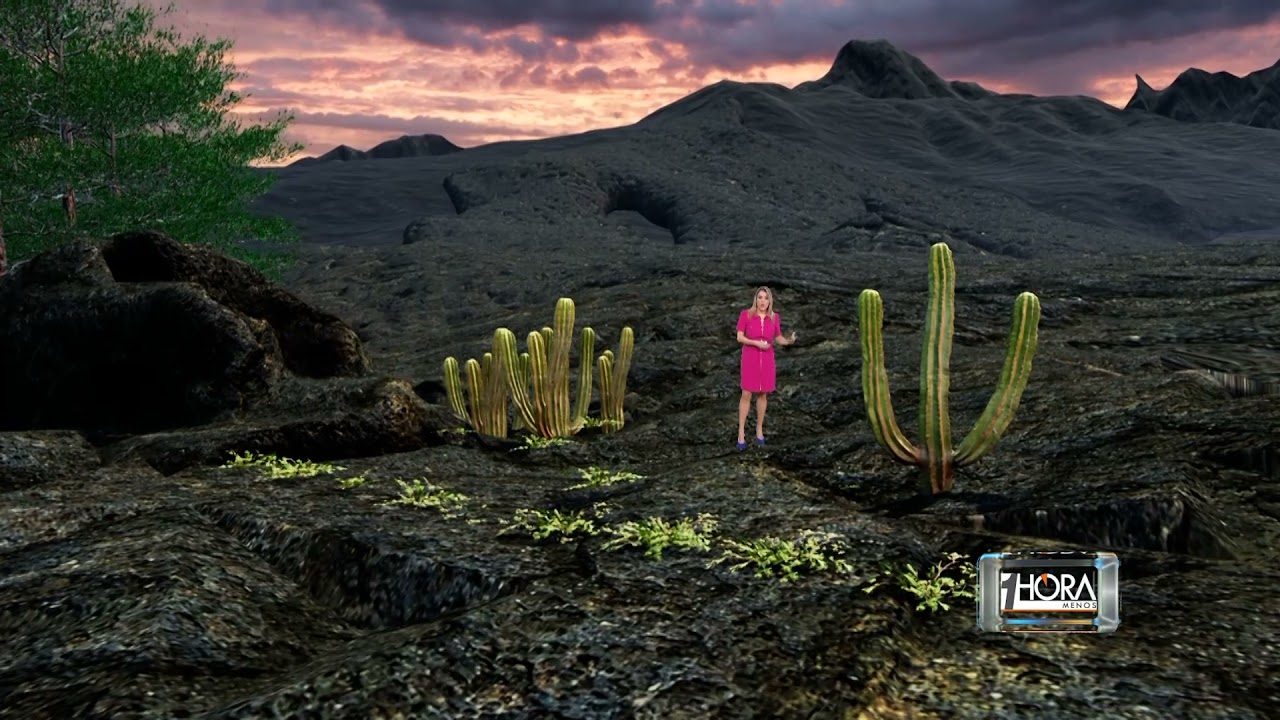 RECUPERACION FLORA | 3D | Volcán de La Palma - Canarias