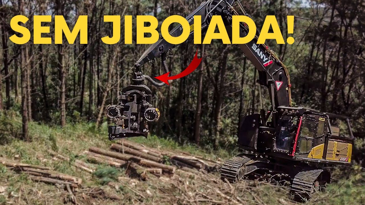 Rotator Ponsse com giro sem fim
