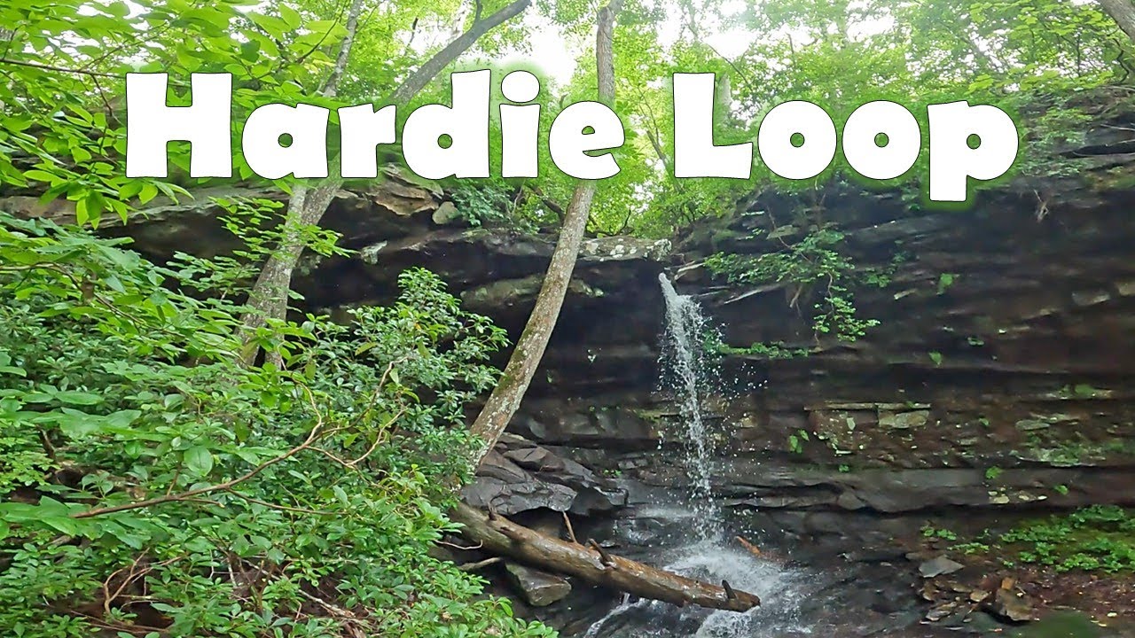 Secret Tennessee Hike: Discover Hardie Loop's Hidden Beauty