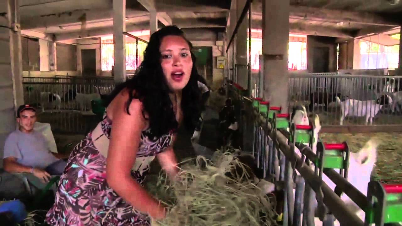 Génération Farmer terminal CGEA LEPAH St Joseph clip officiel 974