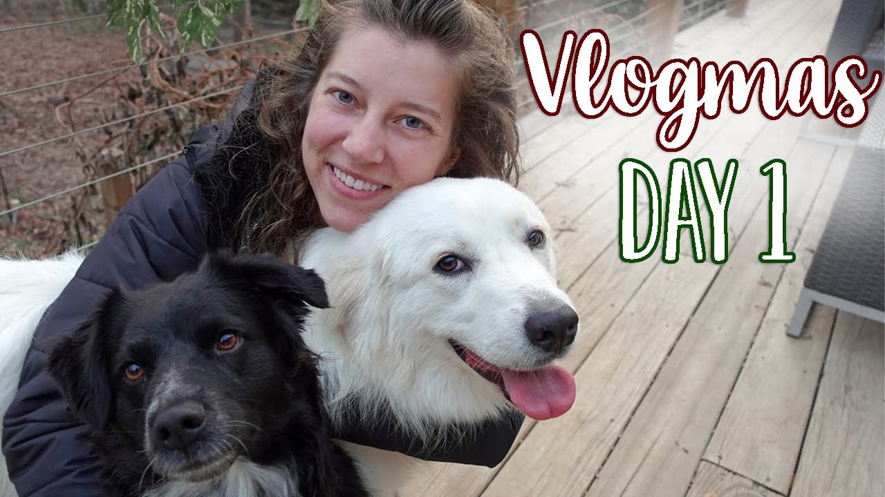 Homemade Pizza and Playing with the Dogs! | Vlogmas Day 1 | Ohcluck