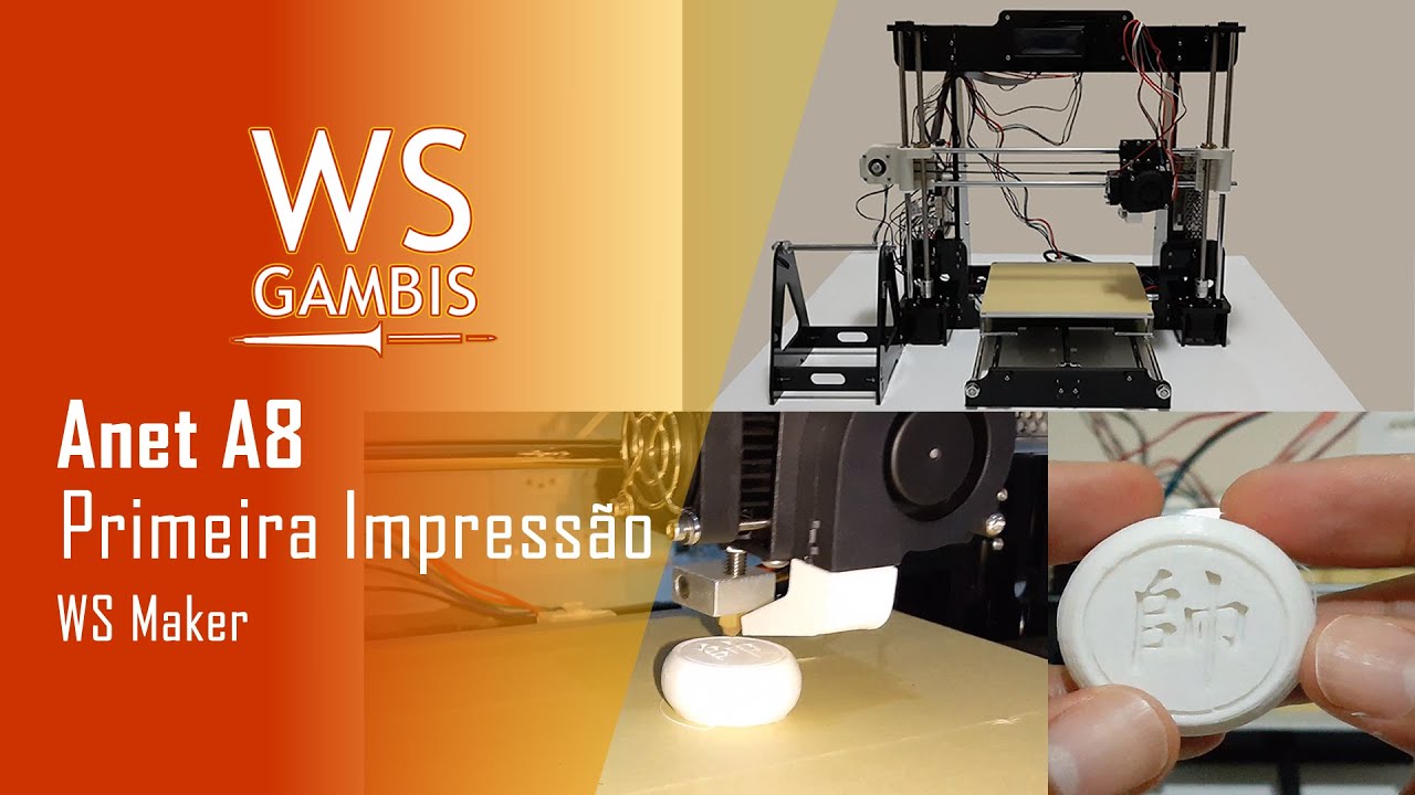 Primeira Peça Impressa Pela Impressora 3D Anet A8 - WS Maker