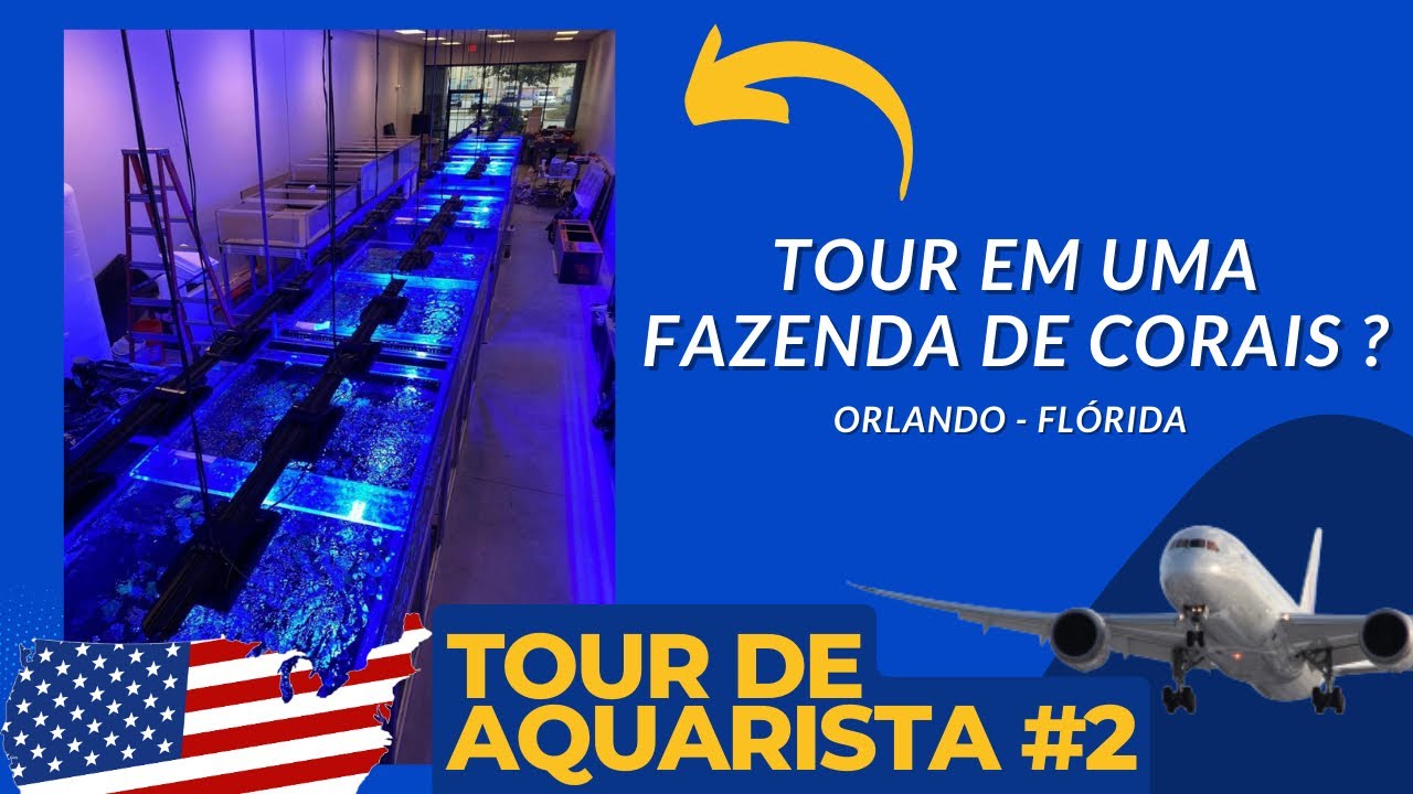 Tour de Aquarista #2 Tour na Living Reef Orlando Loja e Fazenda de Corais nos Estados Unidos !