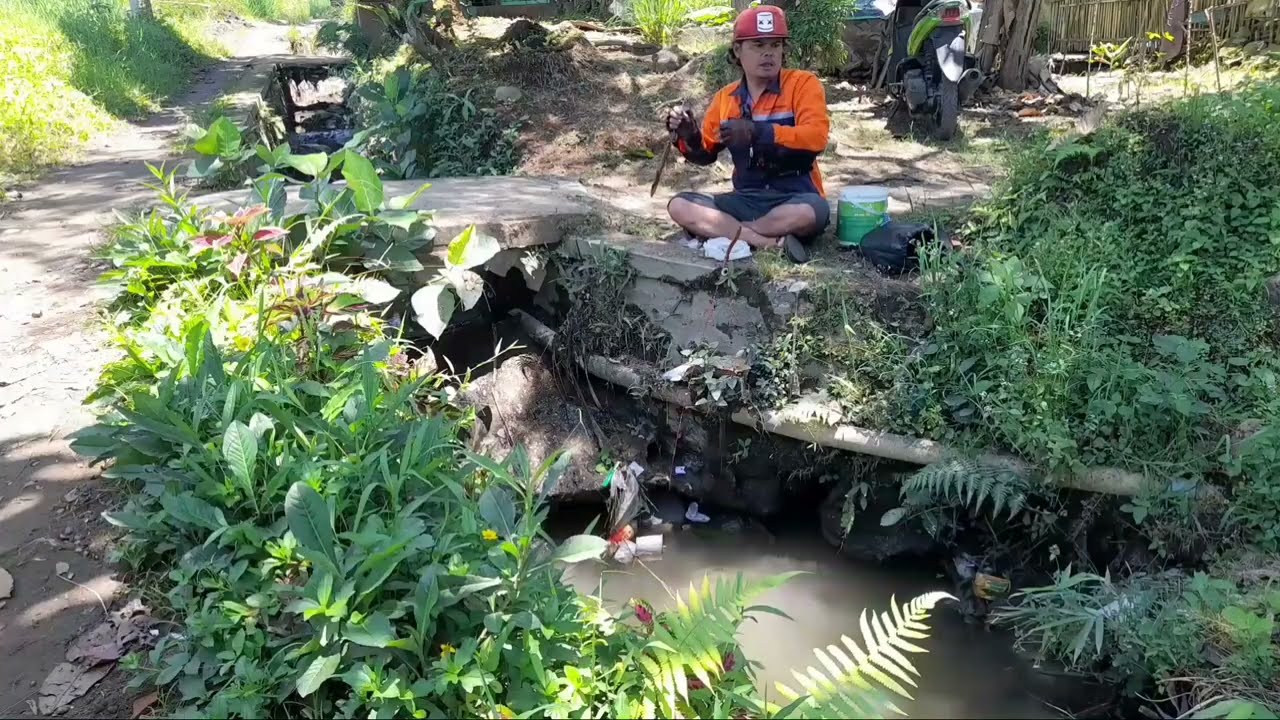 Sumpah bikin bahagia nemu spot kecil tapi isinya juara ikan nilem semua