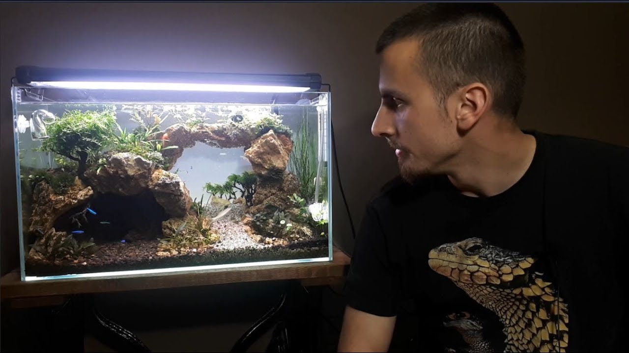 Moj mali akvarijum sa ribicama // korak po korak