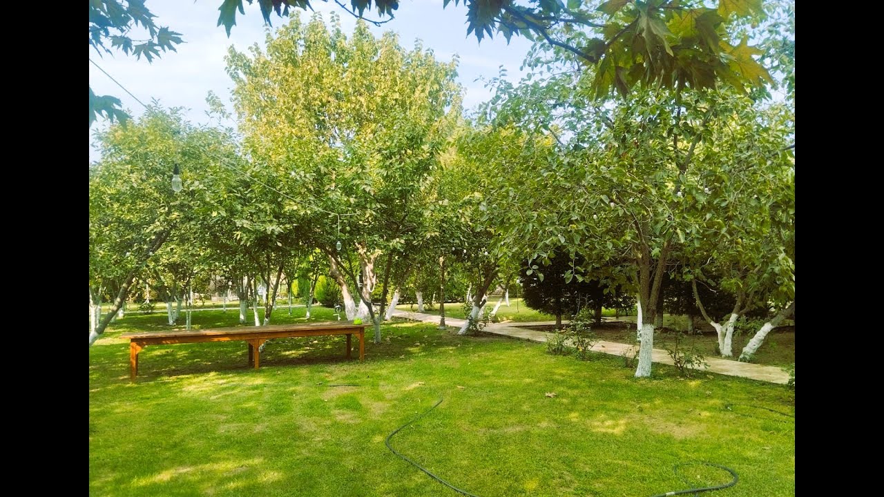 🚗Yoldan 250 metr məsafədə 30 sotda🌳 Cənnət məkan!Çox gözəl Villa💥