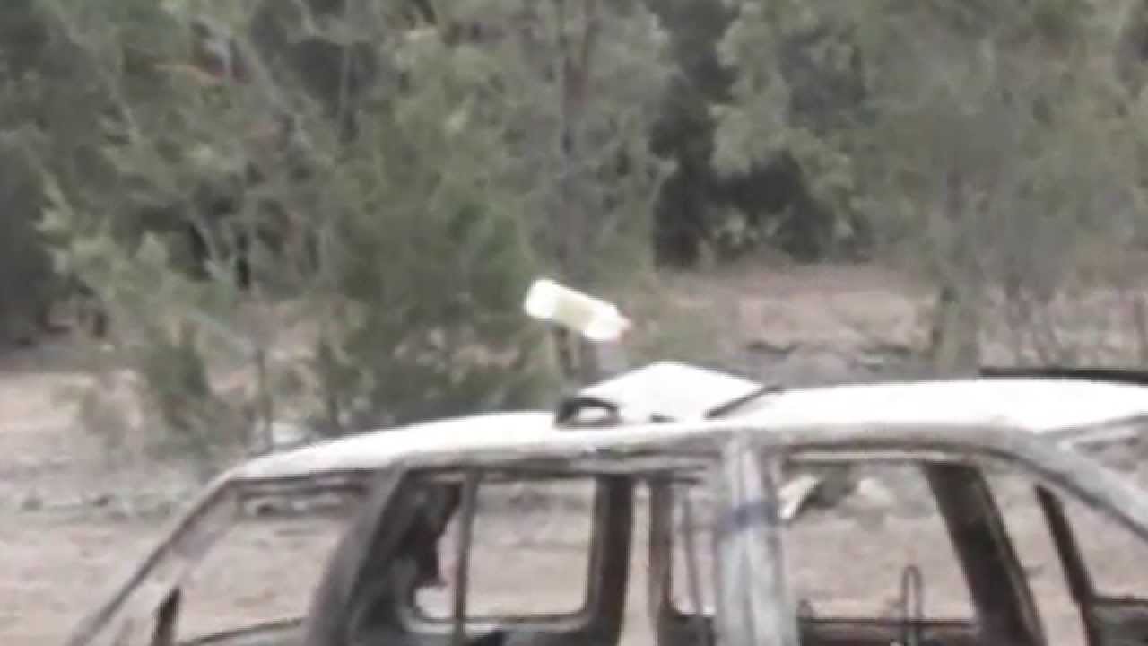 Amazing Professional Archery Shot