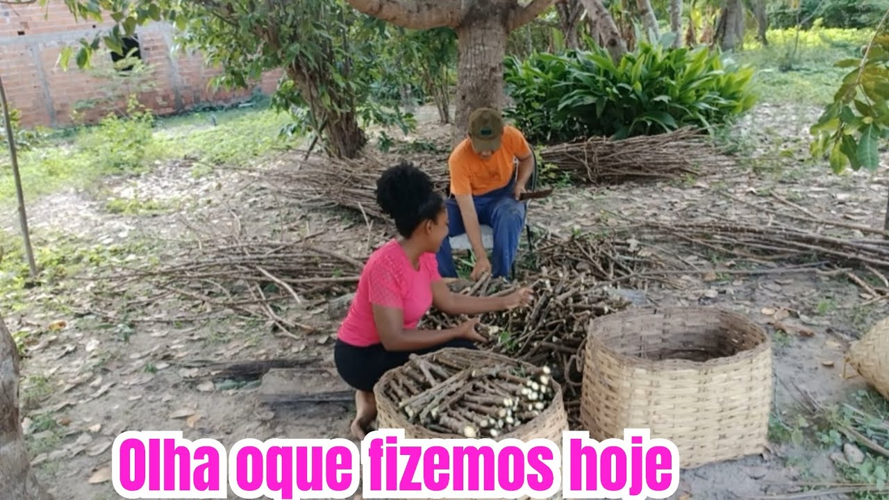 Olha o trabalho que fizemos hoje 