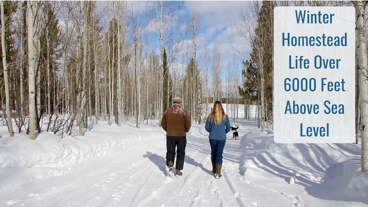 Winter Homestead Life Over 6000 Feet Above Sea Level in The Wyoming Mountains