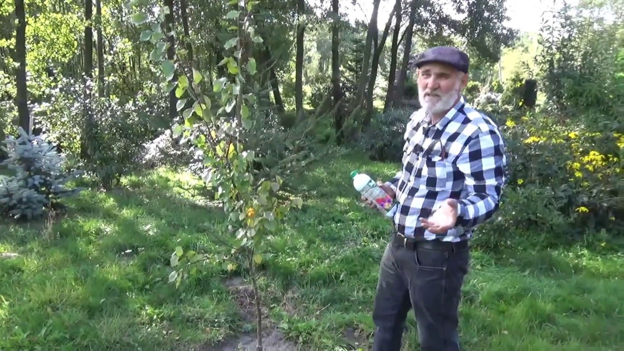 Biohumus - naw&oacute;z ekologiczny.