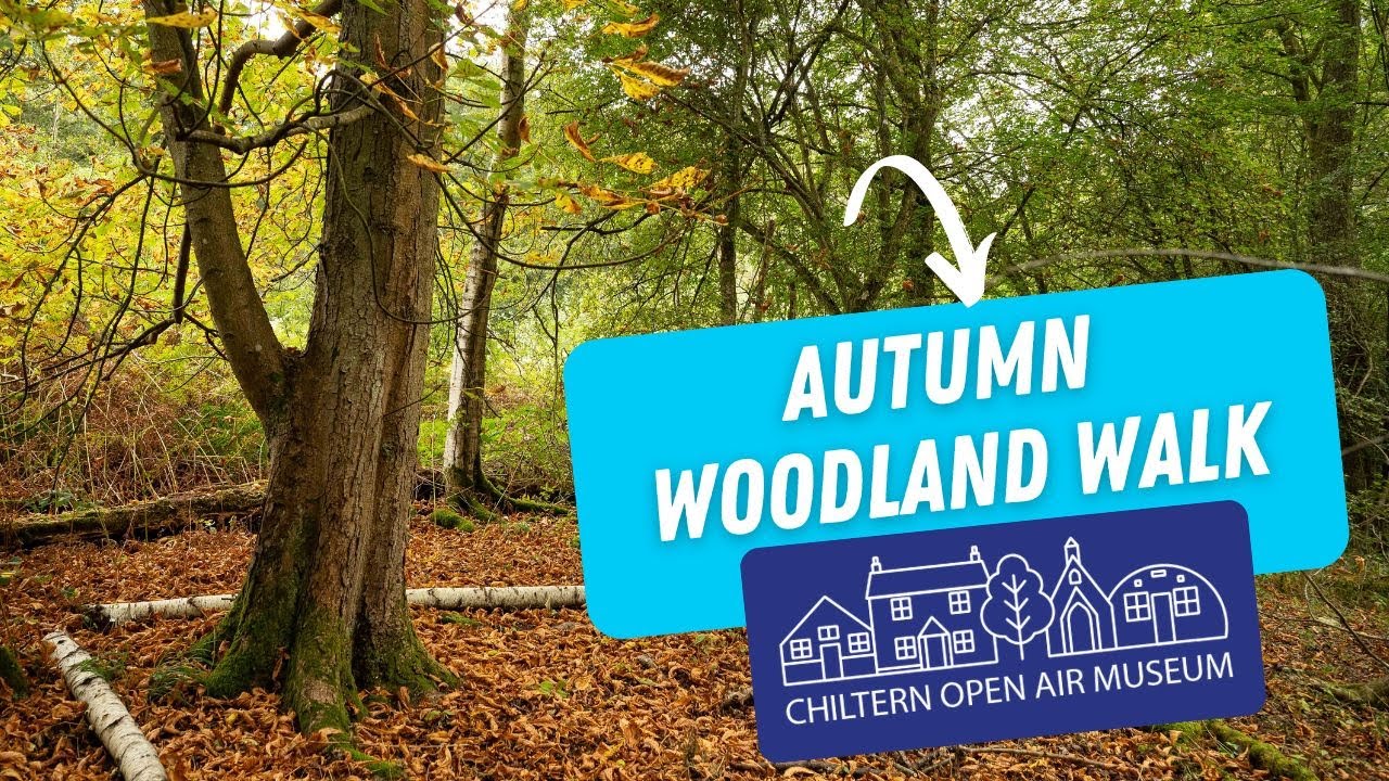 Autumn Woodland Walk at Chiltern Open Air Museum - Discover an Iron Age Roundhouse and Rustic Barn