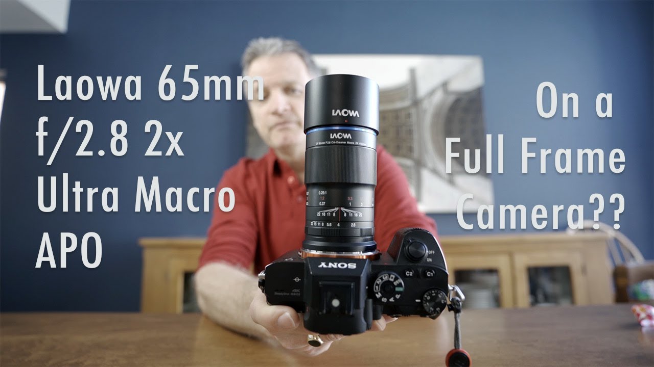 Laowa 65mm f/2.8 2x Ultra Macro APO Review