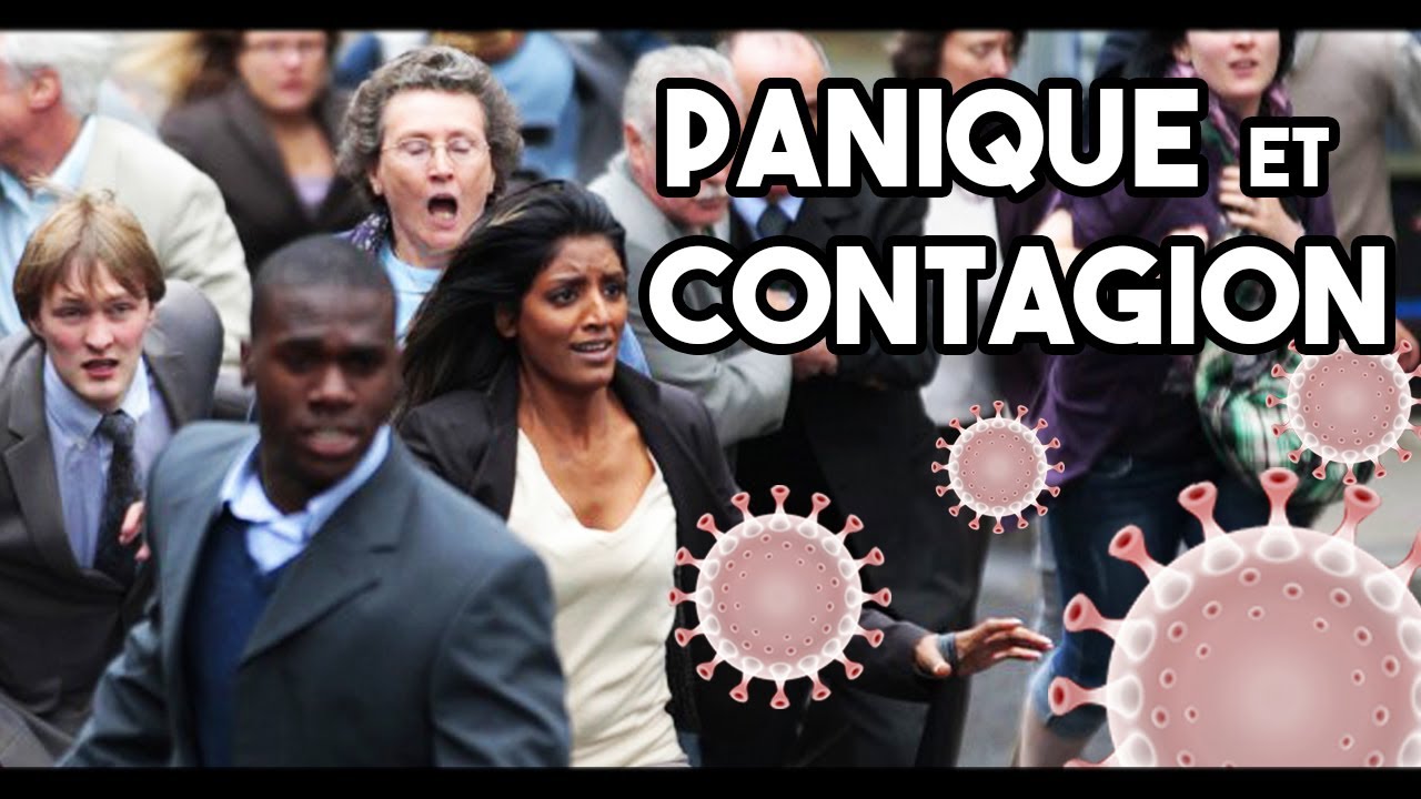 Mouvement de foule : comment se propage la panique ?