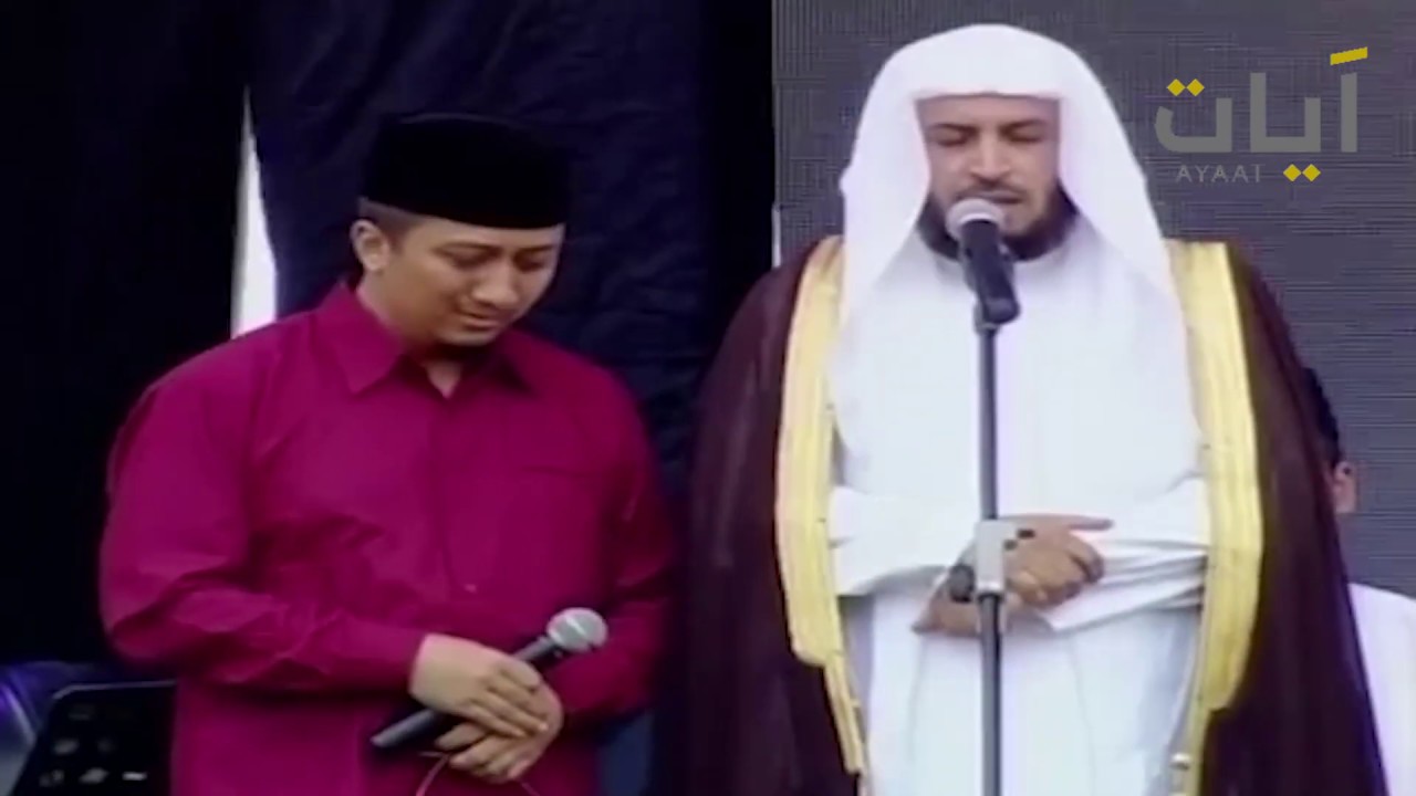 تلاوة الشيخ 