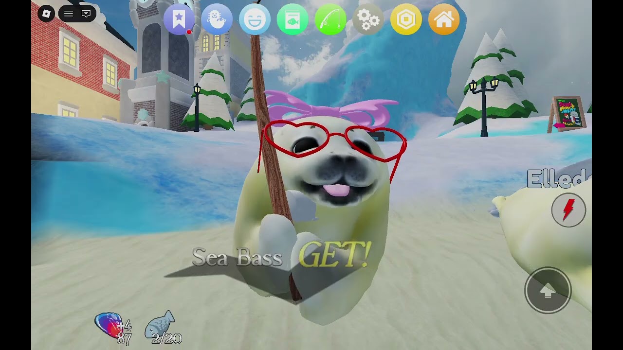 silly seal! 