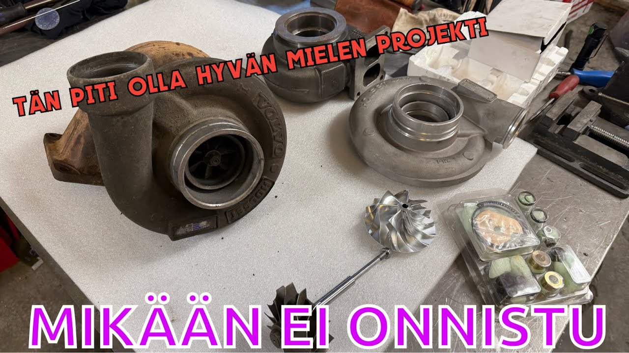 LUULIN KUNNOSTAVANI HOLSETIN...