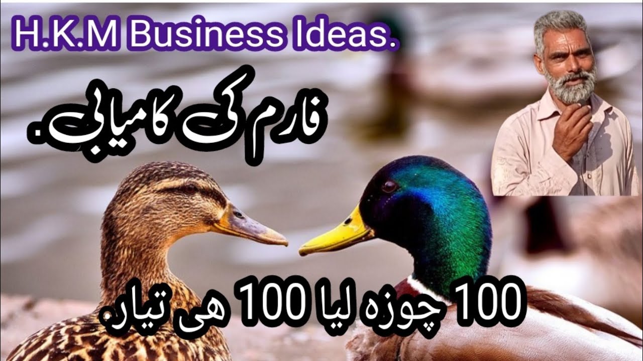 Successful Desi Ducks farmer.