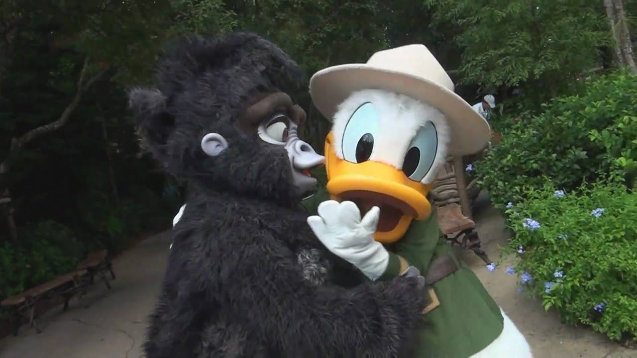 Adventures in Camp with Terk