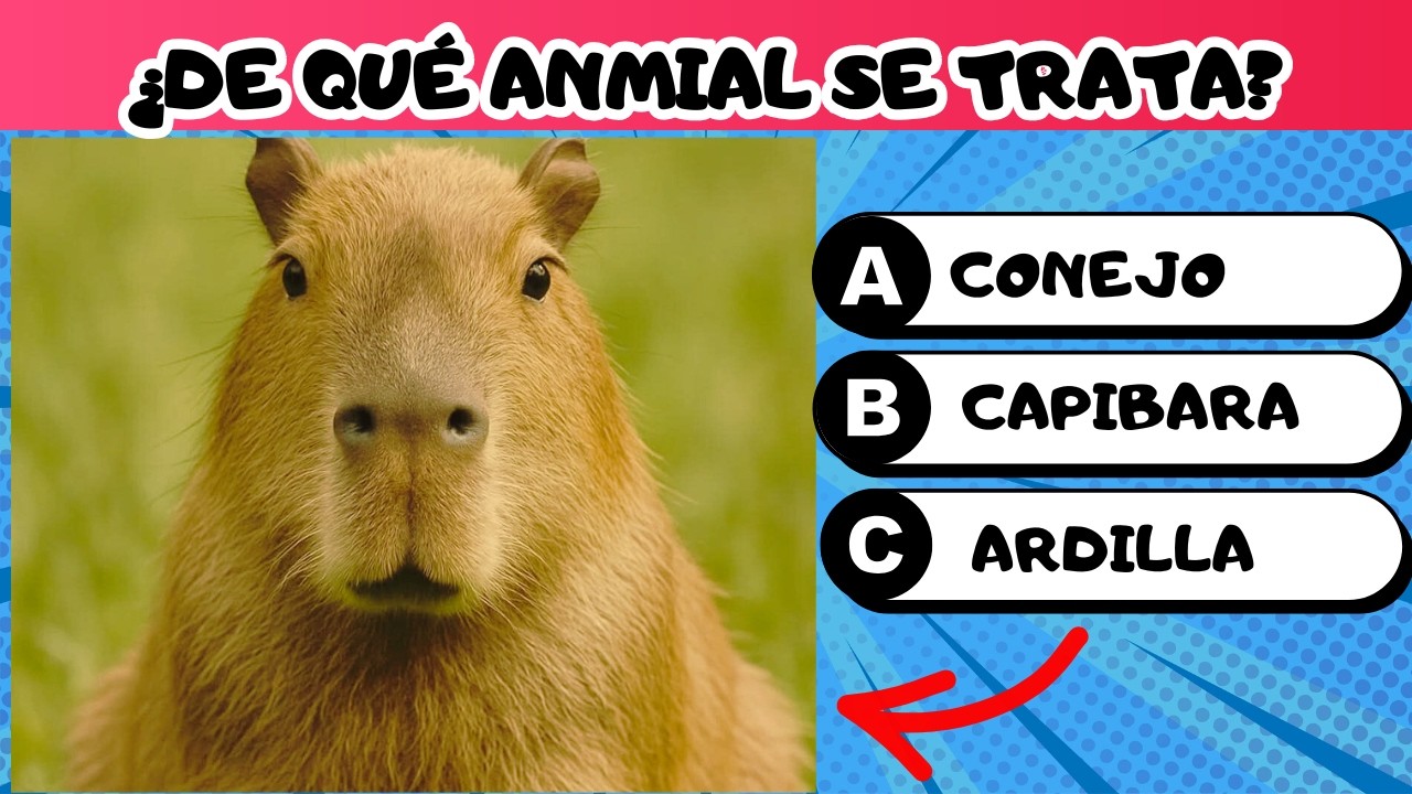 ¿Conoces el nombre de estos animales? #adivinaanimales #animales #animalesmarinos #animalestiernos