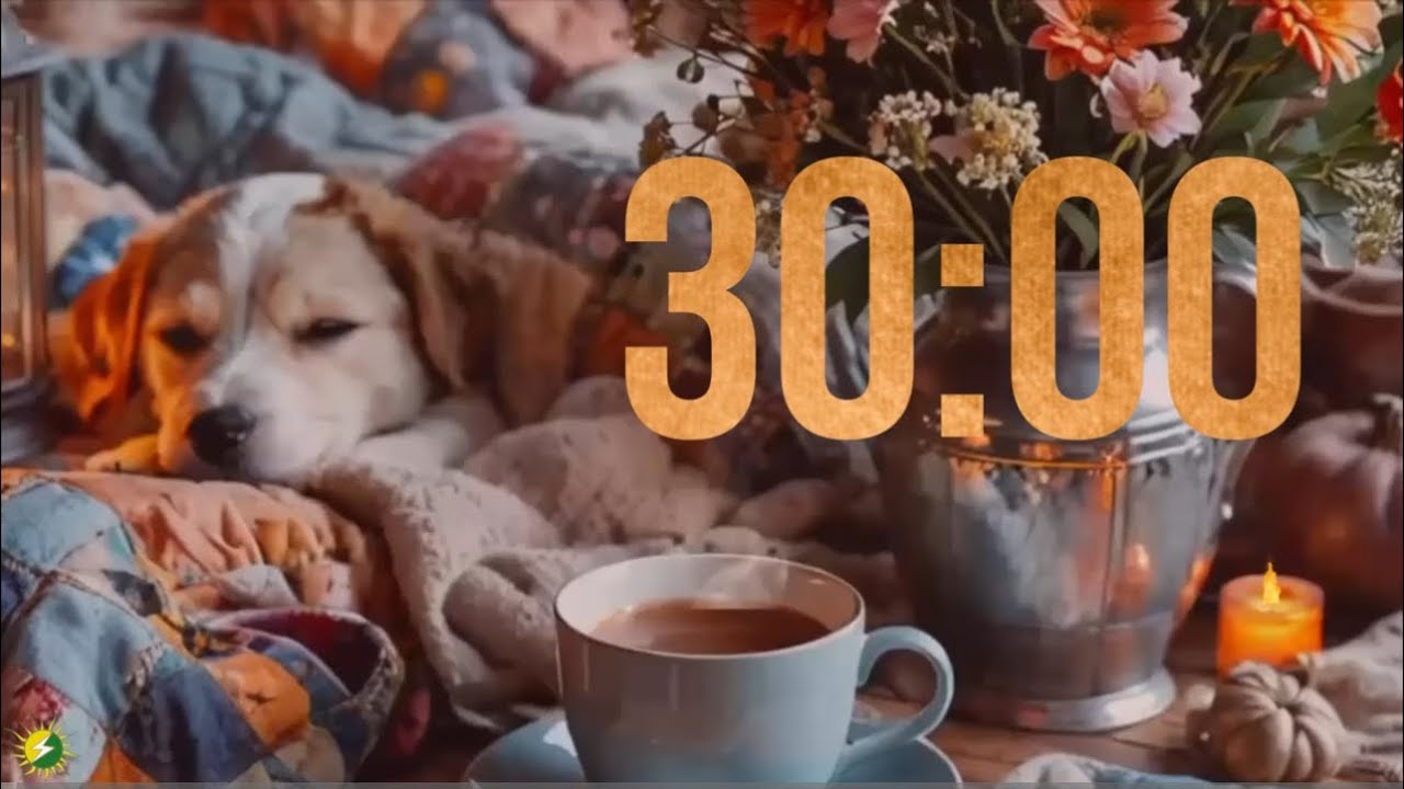 30 Minute Countdown Timer NO ALARM Sleeping Puppy