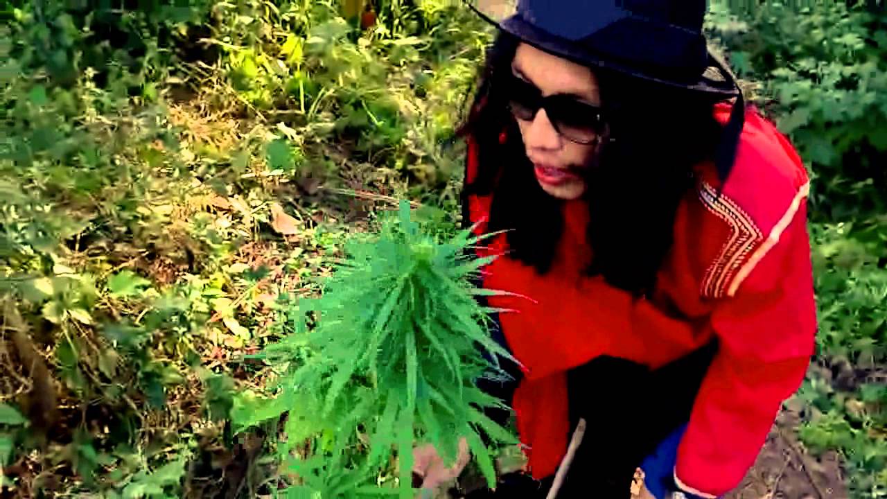 4E Rastafari พี่ไม่ยอม 2012