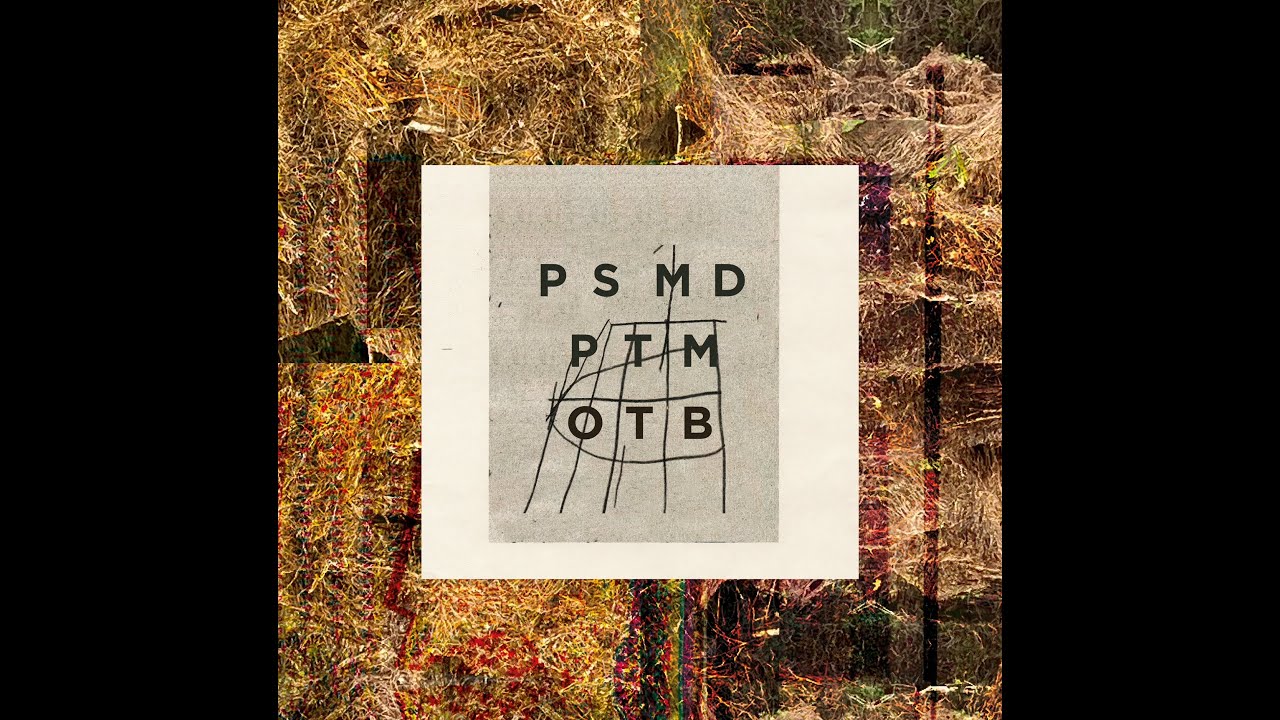 Tim Berne + Adam Hopkins on Marc Ducret - Palm Sweat (Screwgun/OOYH 001)