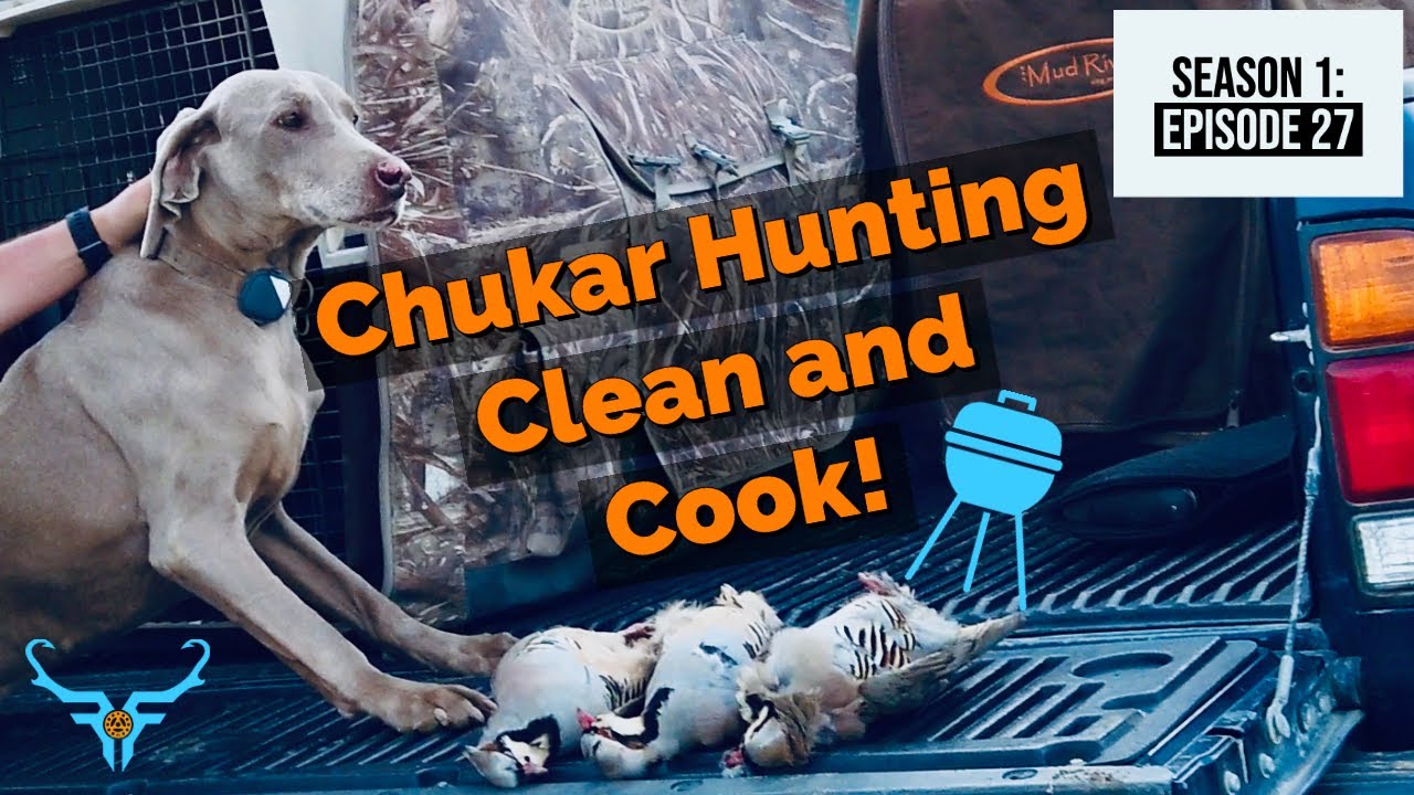 Chukar Hunting - Field to Table! (Clean and Cook)