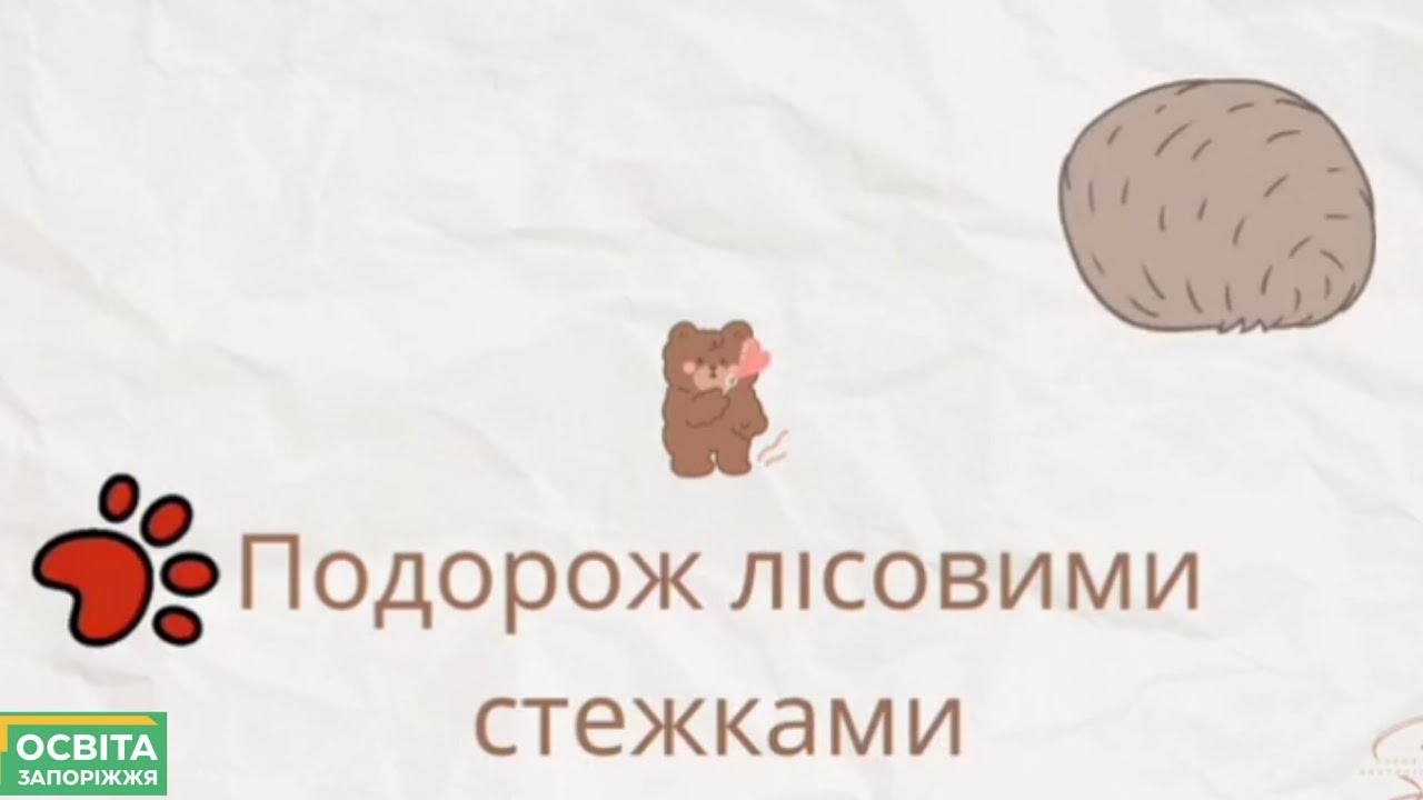 Подорож лісовими стежками 