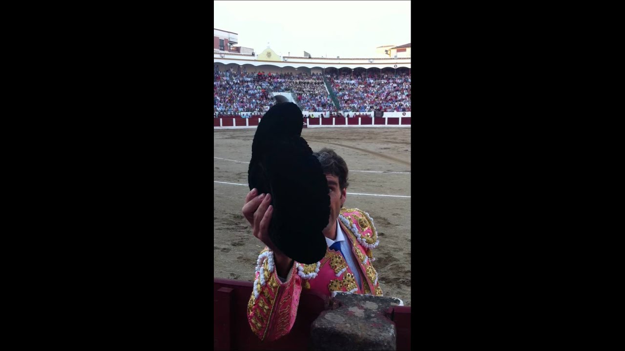 JOSE TOMAS EN LINARES