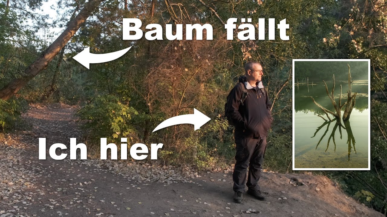 Landschaftsfotografie mit Baumfall: Das war gar nicht mal so unknapp!