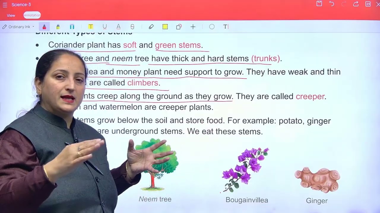Science 3 ch 2