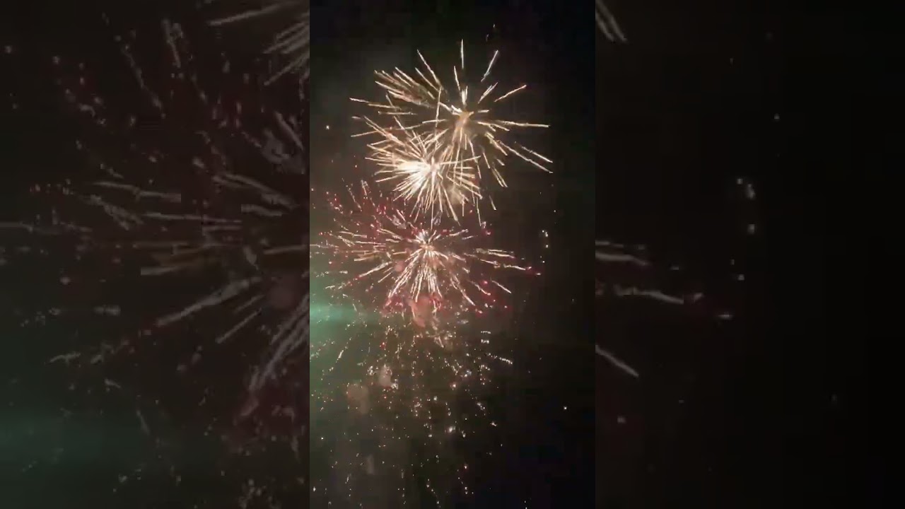 the best 100 shot firwork #pyrotechnic #pyrotechnic #pyrotechnicsfireworksdisplay #fireworksfestival