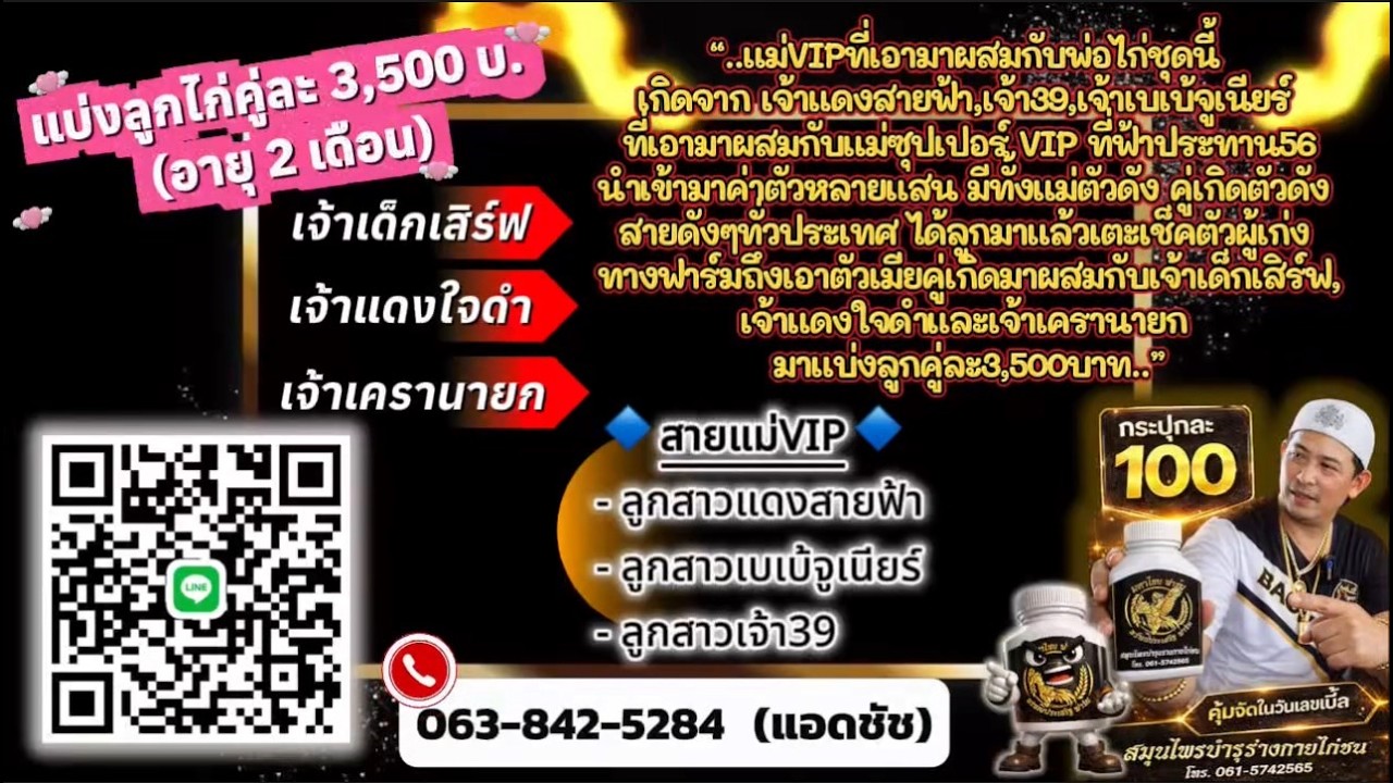 เช็ดน้ำปล้ำไก่13/2/69
