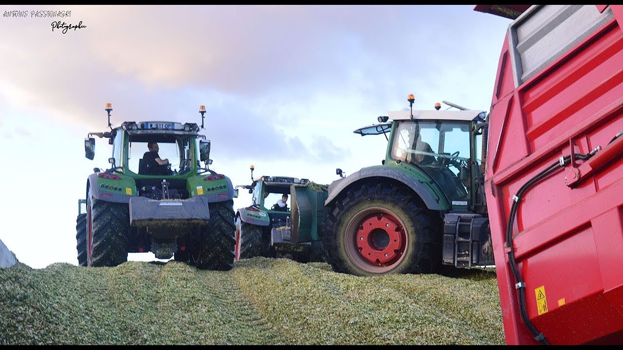 TASSAGE XXL 🌽| x4 FENDT | x2 CLAAS JAGUAR | ETA COZANNET