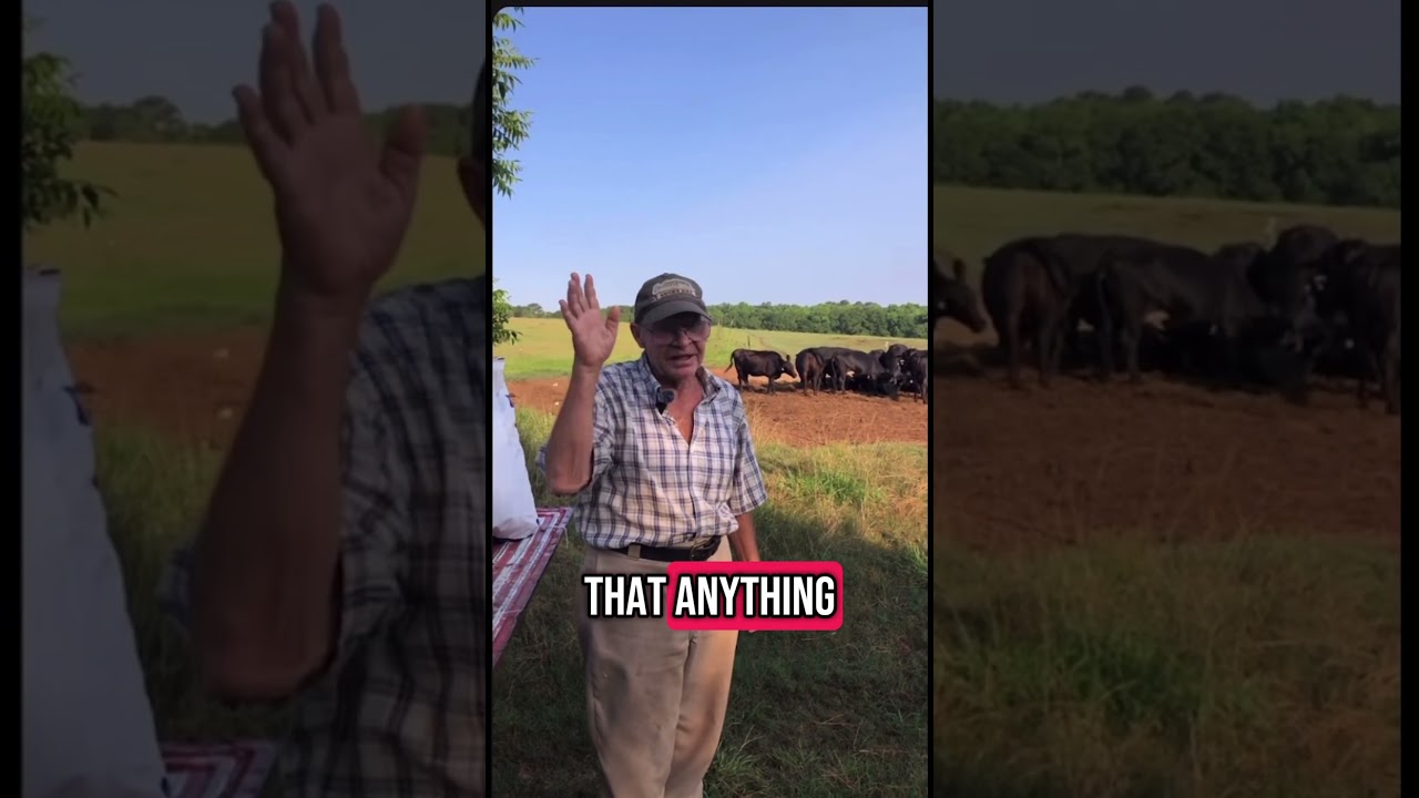 Mad Cow Disease and how it started #cow #farmer #protein #farming #knowledge
