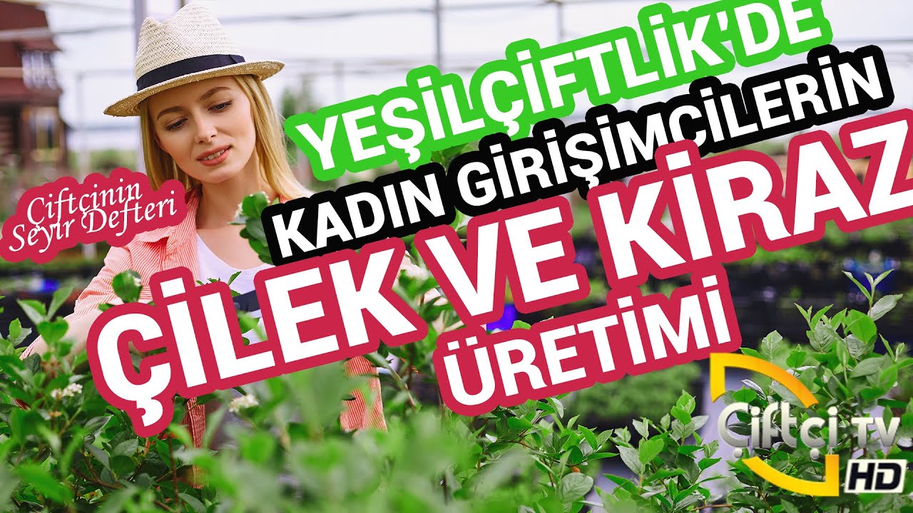 Çilek ve Kiraz Üretimi - ÇİFTÇİNİN SEYİR DEFTERİ #arıcılık #arı #kovan #arıbakımı