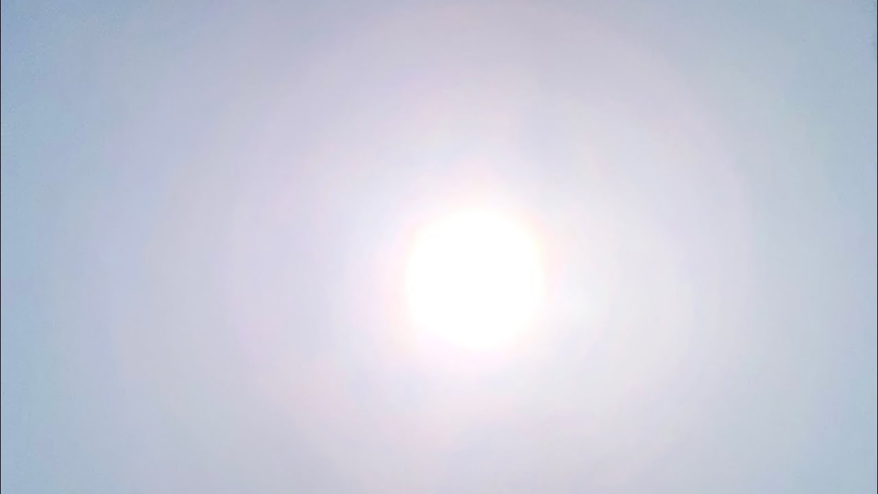 FeelSafe Host Guardians Transmission Through Arrayas Sun