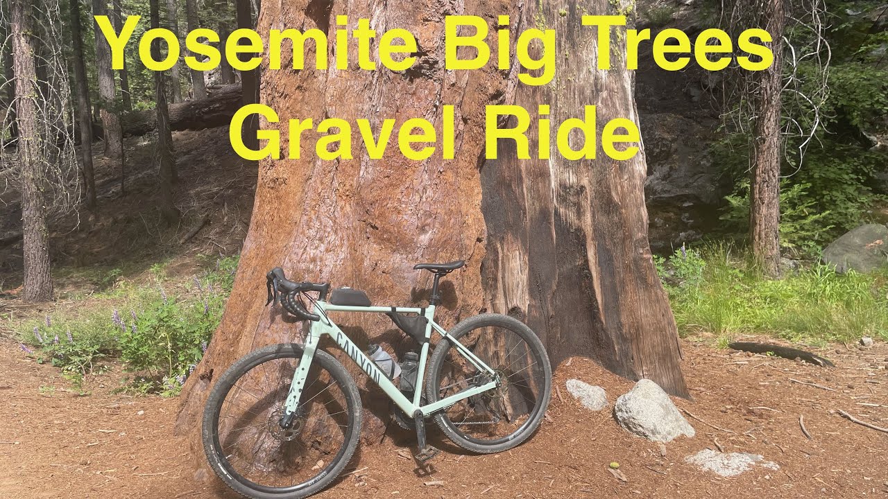 Yosemite Big Trees Gravel Ride