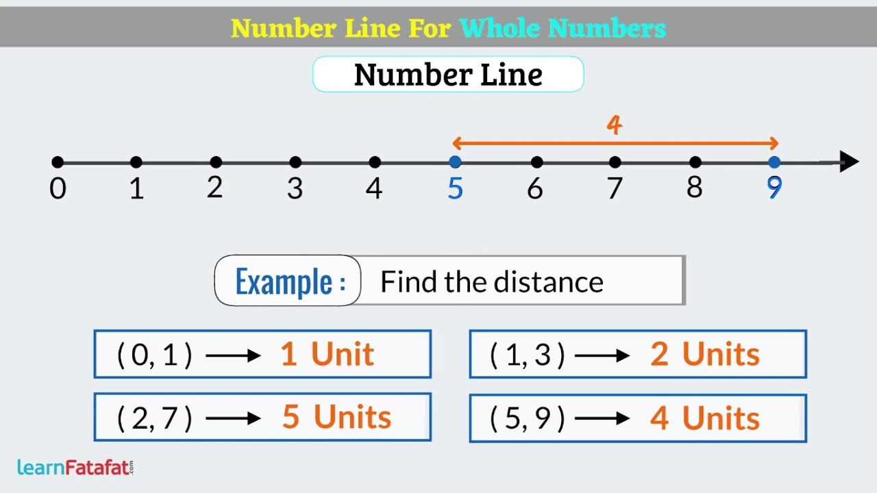 Whole Numbers Class 6 Maths - Understanding Whole Numbers on Number Line