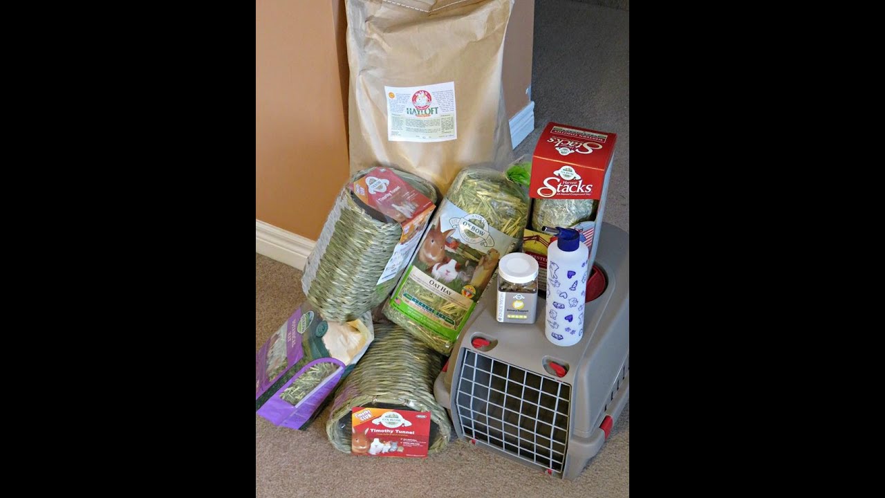 Guinea Pig Supply Haul: Pellets, Hay & Accessories