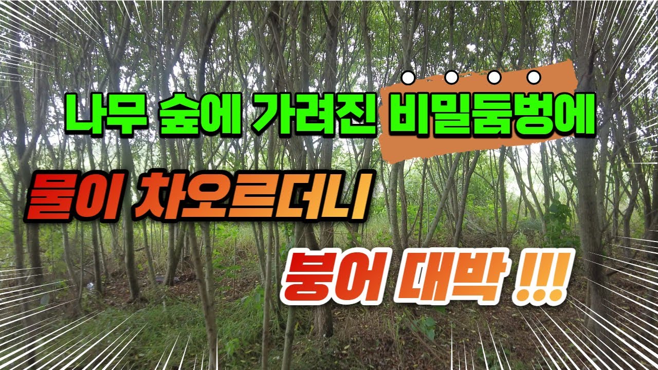 숲에 가려진 비밀둠벙에 물이 차오르기 시작했다