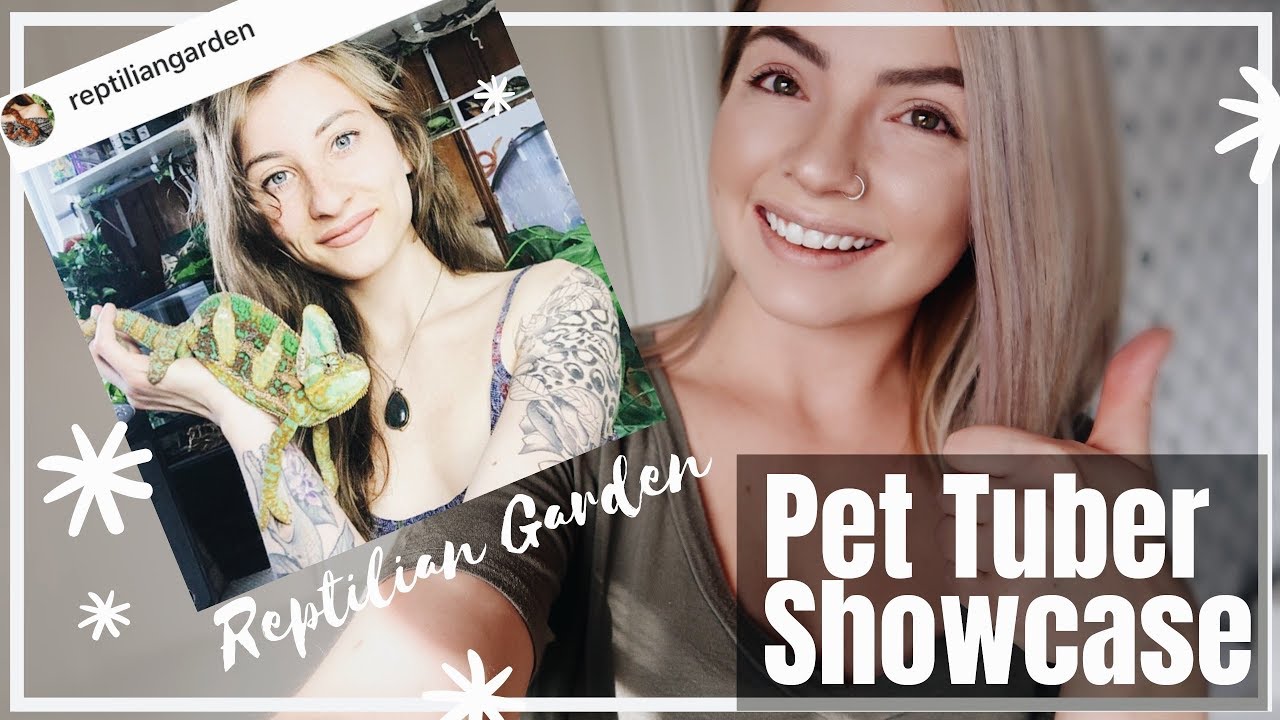 !! Reptilan Garden: Pet Tuber !!
