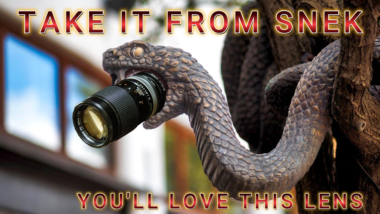 Vintage Lens Review: Canon FD 135mm f2.5 | Robot Impurity Photography