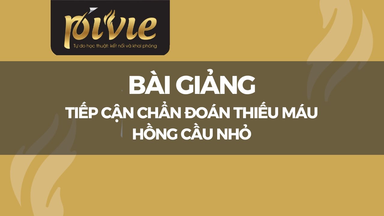 Tiếp cận chẩn đoán Thiếu máu hồng cầu nhỏ [Phan Trúc]