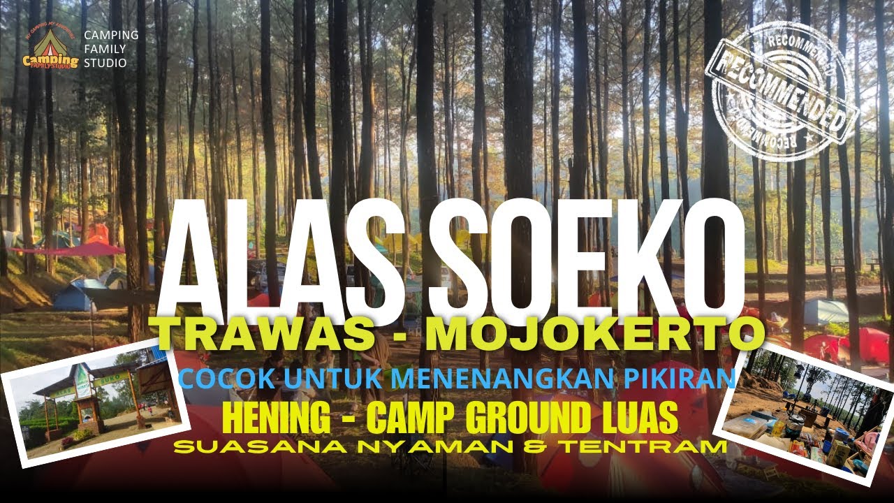 Camping di Alas Soeko Trawas - Tenang & Menentramkan | REKOMENDASI CAMPING DI TRAWAS