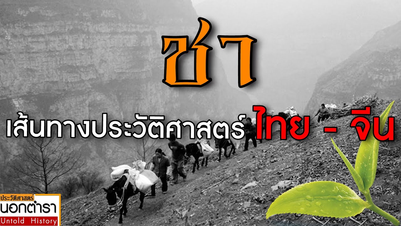 เปิดประวัติศาสตร์ชาพันปี และเส้นทางชาไทย- จีน I ประวัติศาสตร์นอกตำรา EP.116