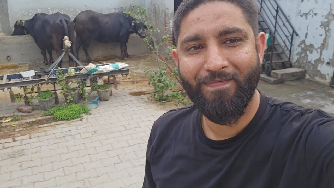 👍रोजाना ki तरह aaj ka din bi aase hi निकल gya 🙏