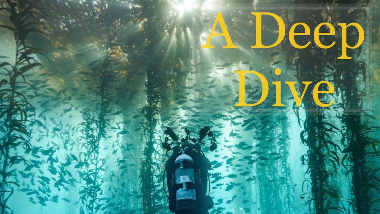 A Deep Dive into an Award Winning Underwater Photographer, underwaterpat